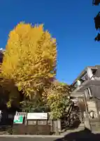 小野照崎神社(東京都)