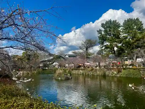 三嶋大社の{uncategorized: "未分類", other: "その他", undefined: "問題あり", building: "その他建物", grave: "お墓", sacred_gate: "鳥居", guardian: "狛犬", statue: "像", buddha: "仏像", history: "歴史", nature: "自然", garden: "庭園", animal: "動物", pagoda: "塔", temizu: "手水舎", mountain_gate: "山門・神門", sanctuary: "本殿・本堂", subordinate: "末社・摂社", art: "芸術", scenery: "景色", jizo: "地蔵", ema: "絵馬", goshuin: "御朱印", omikuji: "おみくじ", items: "授与品その他", amulet: "お守り", goshuincho: "御朱印帳", eats: "食事", festival: "お祭り", votive_dance: "神楽", shichigosan: "七五三参", wedding: "結婚式", experience: "体験その他", initially: "初詣", around: "周辺", anti_infection: "感染症対策"}