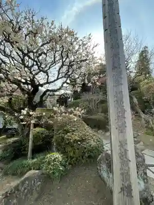 貴雲寺の{uncategorized: "未分類", other: "その他", undefined: "問題あり", building: "その他建物", grave: "お墓", sacred_gate: "鳥居", guardian: "狛犬", statue: "像", buddha: "仏像", history: "歴史", nature: "自然", garden: "庭園", animal: "動物", pagoda: "塔", temizu: "手水舎", mountain_gate: "山門・神門", sanctuary: "本殿・本堂", subordinate: "末社・摂社", art: "芸術", scenery: "景色", jizo: "地蔵", ema: "絵馬", goshuin: "御朱印", omikuji: "おみくじ", items: "授与品その他", amulet: "お守り", goshuincho: "御朱印帳", eats: "食事", festival: "お祭り", votive_dance: "神楽", shichigosan: "七五三参", wedding: "結婚式", experience: "体験その他", initially: "初詣", around: "周辺", anti_infection: "感染症対策"}
