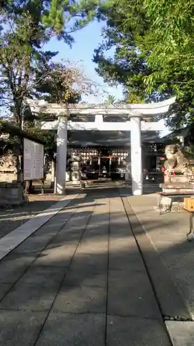 正ノ木稲荷 稲積神社の鳥居