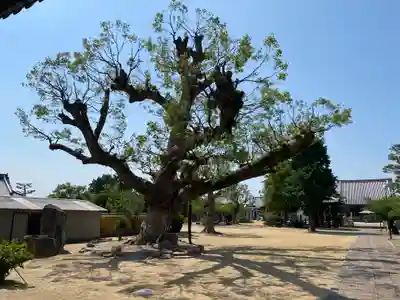 金倉寺(香川県)