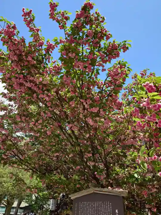 尾山神社(石川県)