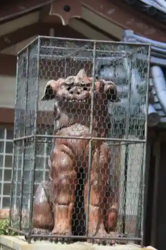 八坂神社(祇園さん)の狛犬