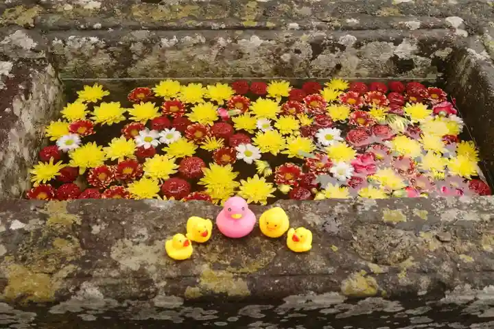 八幡神社の手水舎