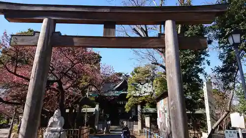 荏原神社の鳥居