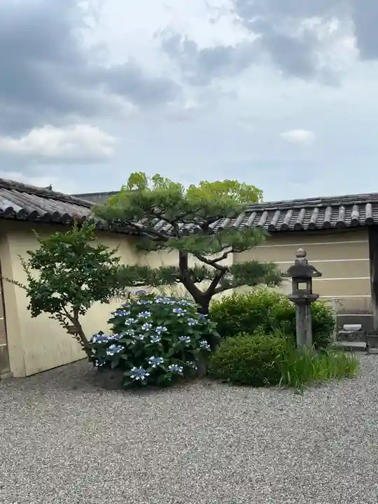 東寺(教王護国寺)(京都府)