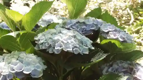 岡寺（龍蓋寺）(奈良県)