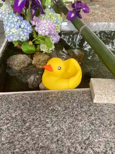 高司神社〜むすびの神の鎮まる社〜の手水