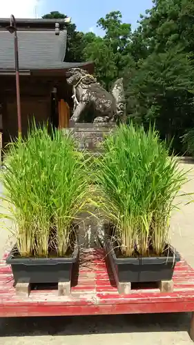 水戸八幡宮の狛犬