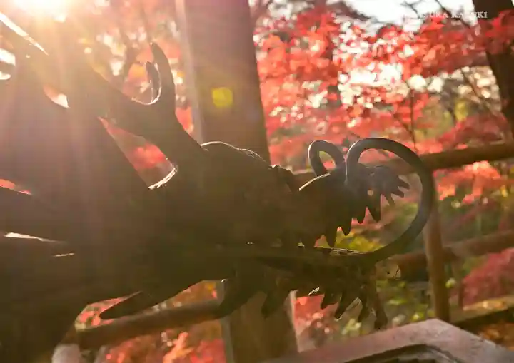 明王院(満願寺別院)の手水舎