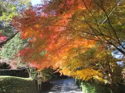 今熊野観音寺(京都府)
