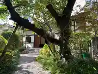 金竜寺(東京都)