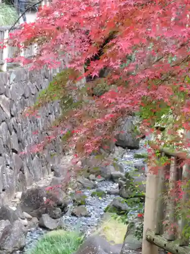 王子神社の自然