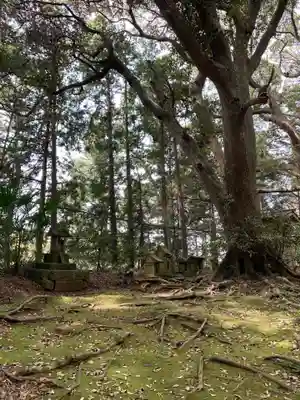 須賀神社(千葉県)