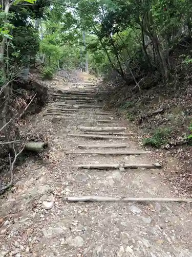 愛宕神社の自然