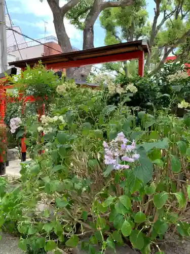 尼崎えびす神社の自然
