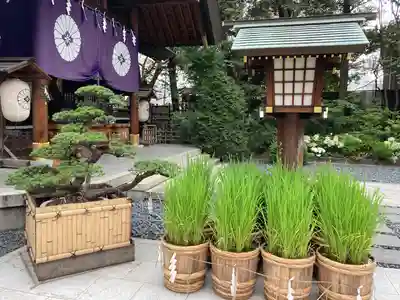 東京大神宮のその他建物