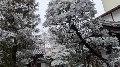 宝蔵寺(京都府)