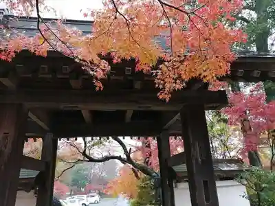 薬王寺の山門・神門