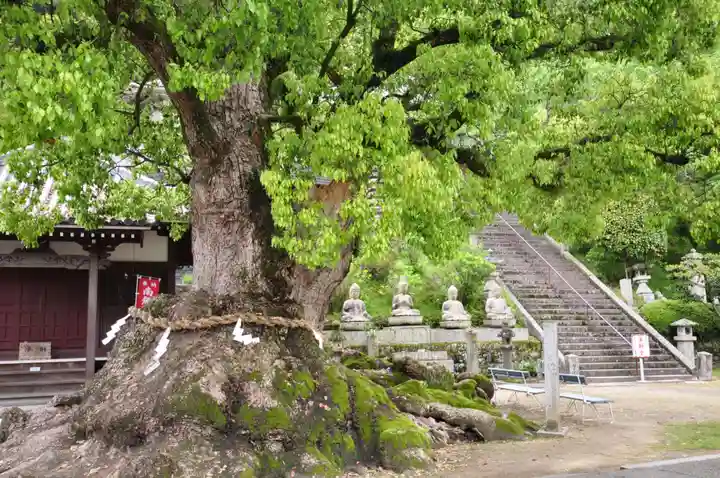 観音寺(香川県)