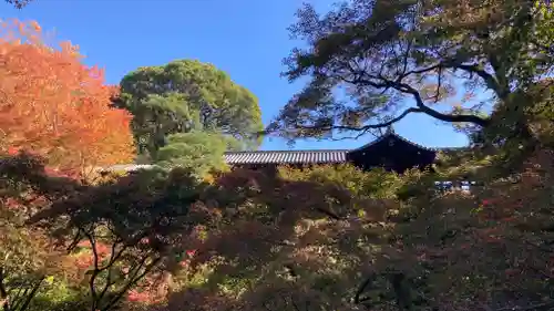 東福禅寺（東福寺）(京都府)