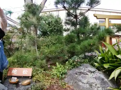 蛇窪神社(東京都)