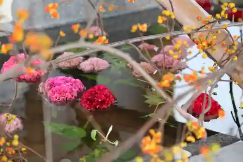 樽前山神社の手水舎