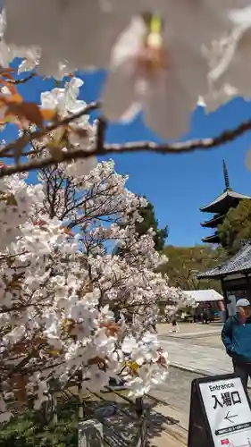 仁和寺(京都府)