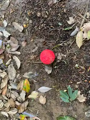 大杉神社(千葉県)