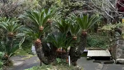 洲崎神社(千葉県)