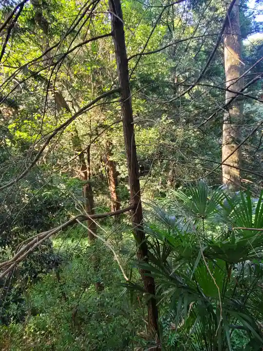 前玉神社の周辺