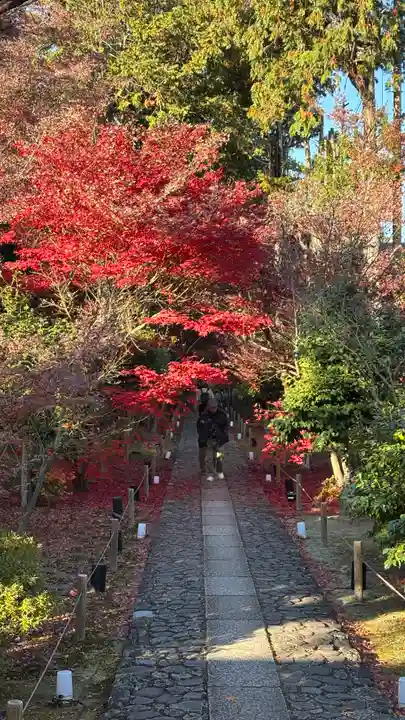 鹿王院(京都府)