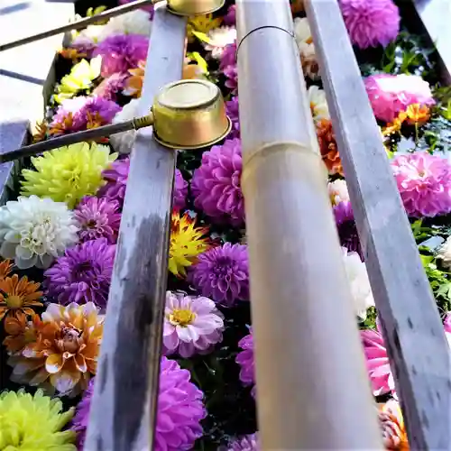 豊景神社の手水