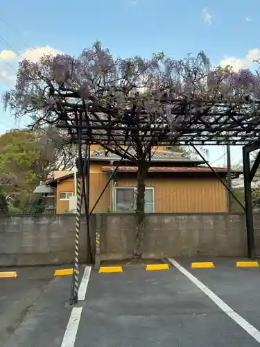春山寺(千葉県)