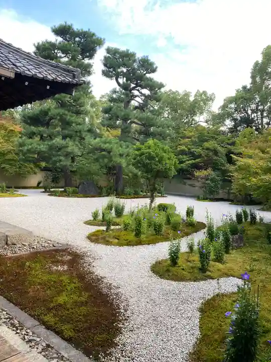 廬山寺(廬山天台講寺)の庭園