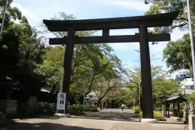 愛知縣護國神社の鳥居