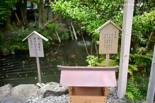 猿田彦神社の歴史