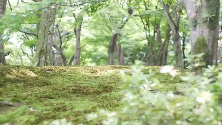 東福禅寺(東福寺)(京都府)