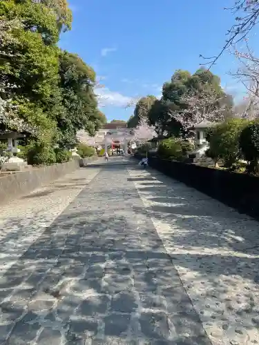 富士山本宮浅間大社(静岡県)