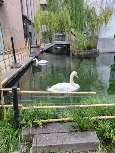 頂法寺（六角堂）(京都府)