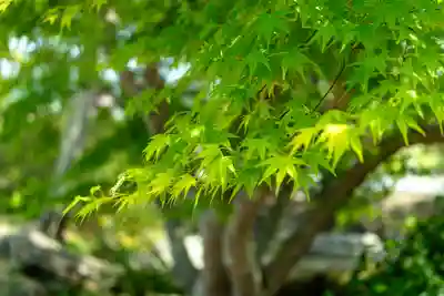吉備津彦神社(岡山県)