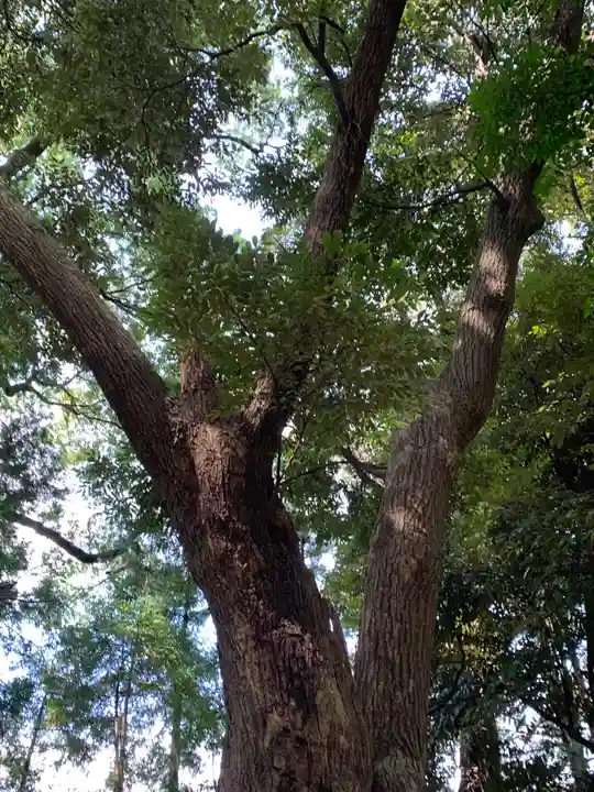薩都神社(茨城県)