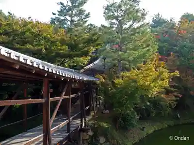 高台寺（高台寿聖禅寺・高臺寺）(京都府)