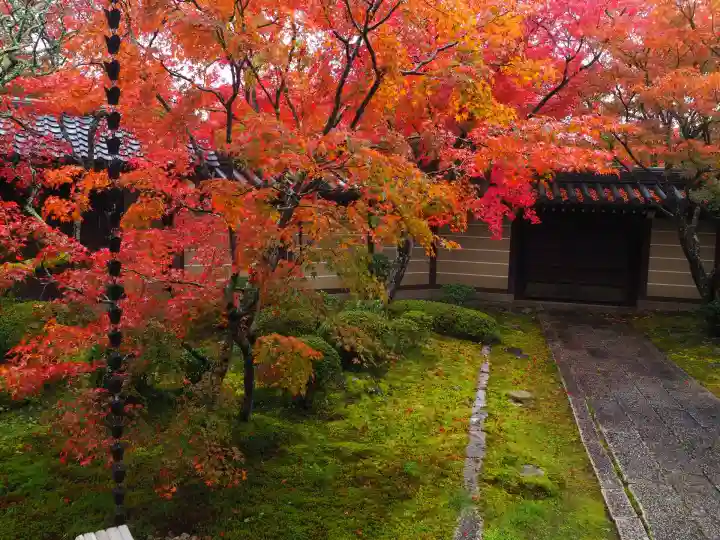 禅林寺(永観堂)(京都府)