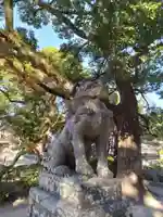 太宰府天満宮(福岡県)