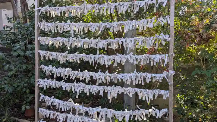 許波多神社(五ケ庄鎮座)のおみくじ
