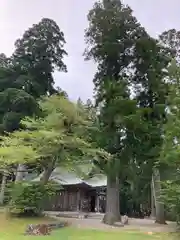 真山神社の本殿