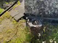 蛭子神社(徳島県)