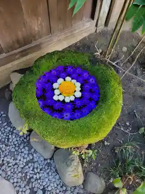 菅生神社(愛知県)