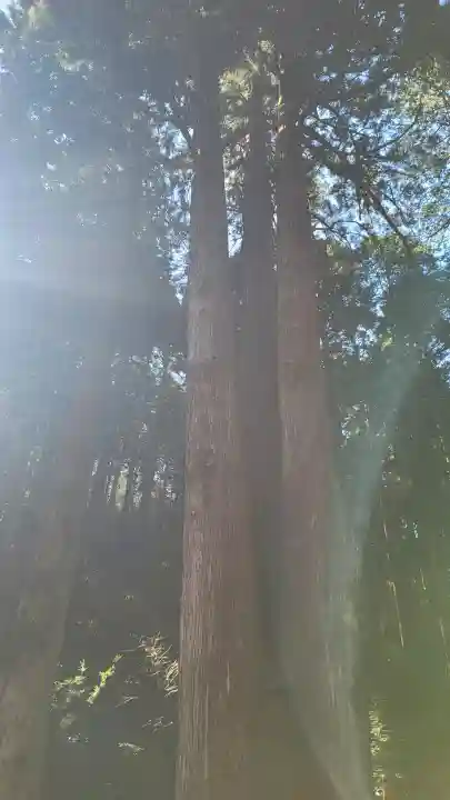御岩神社の{uncategorized: "未分類", other: "その他", undefined: "問題あり", building: "その他建物", grave: "お墓", sacred_gate: "鳥居", guardian: "狛犬", statue: "像", buddha: "仏像", history: "歴史", nature: "自然", garden: "庭園", animal: "動物", pagoda: "塔", temizu: "手水舎", mountain_gate: "山門・神門", sanctuary: "本殿・本堂", subordinate: "末社・摂社", art: "芸術", scenery: "景色", jizo: "地蔵", ema: "絵馬", goshuin: "御朱印", omikuji: "おみくじ", items: "授与品その他", amulet: "お守り", goshuincho: "御朱印帳", eats: "食事", festival: "お祭り", votive_dance: "神楽", shichigosan: "七五三参", wedding: "結婚式", experience: "体験その他", initially: "初詣", around: "周辺", anti_infection: "感染症対策"}